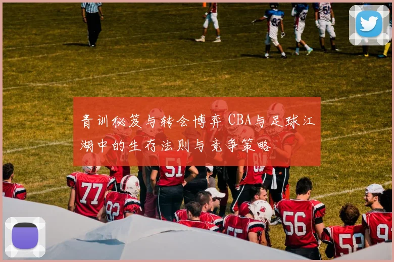 青训秘笈与转会博弈 CBA与足球江湖中的生存法则与竞争策略