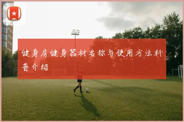 健身房健身器材名称与使用方法科普介绍