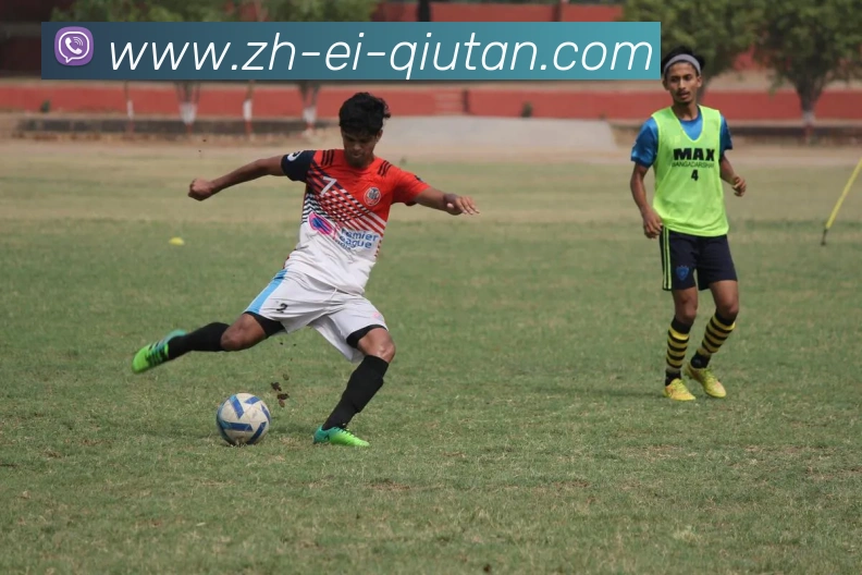 球探体育平台生态图